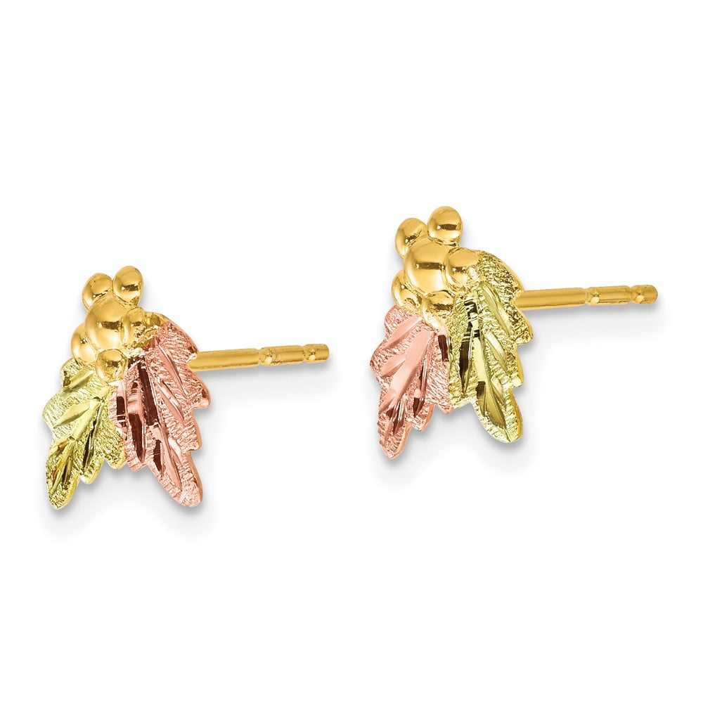 10k Tri-color Black Hills Gold Post Earrings