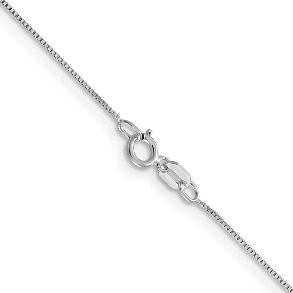 10k White Gold .5mm Box Chain