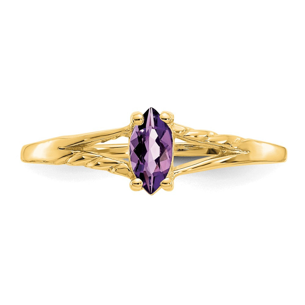 10k Polished Genuine Amethyst Birthstone Ring