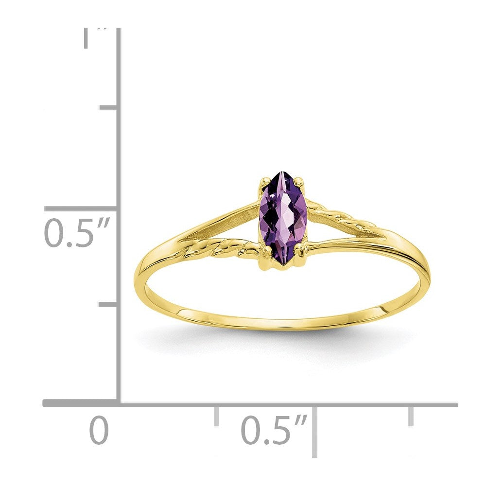 10k Polished Genuine Amethyst Birthstone Ring