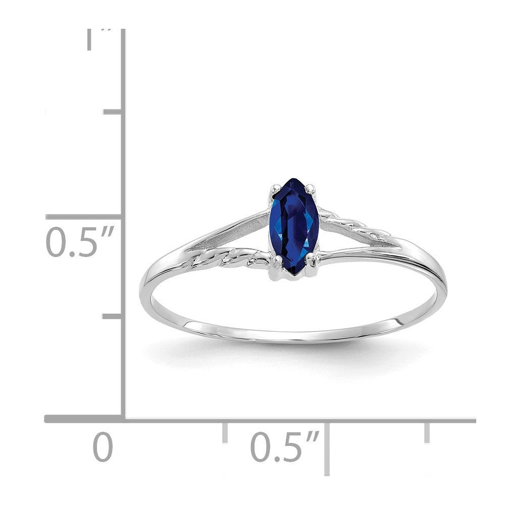 10k White Gold Polished Genuine Sapphire Birthstone Ring