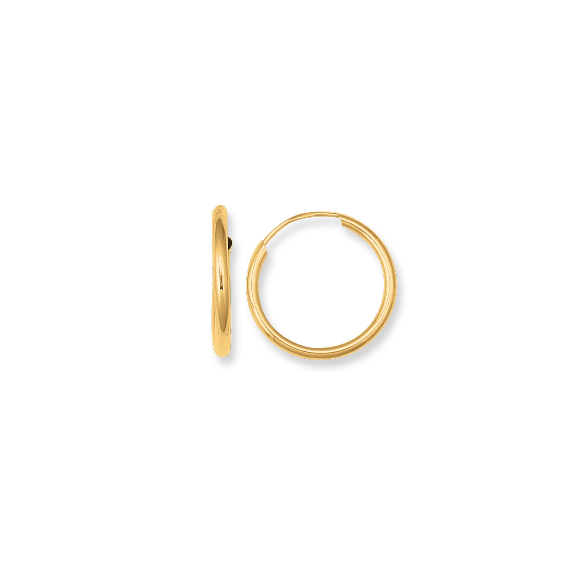 10K Yellow Gold Endless Hoop Earring
789325312301 