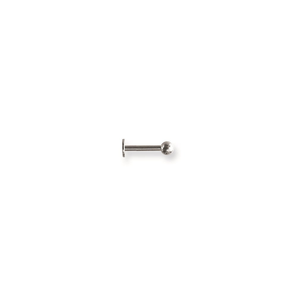 SGSS Labret w Stl Ball Labret w Stl Ball 14G (1.6mm) 3/8 (10mm) Long w