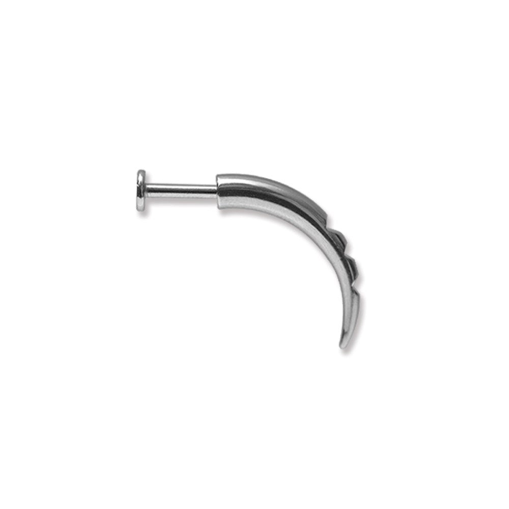 SGSS Labret w Talon 14G (1.6mm) 5/16 (8mm) Long Labret w 25mm long Curv