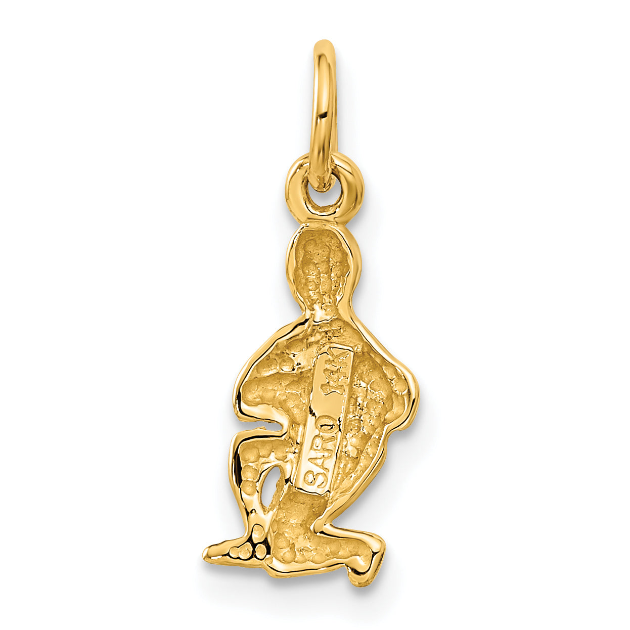 14k Aquarius Zodiac Charm C486