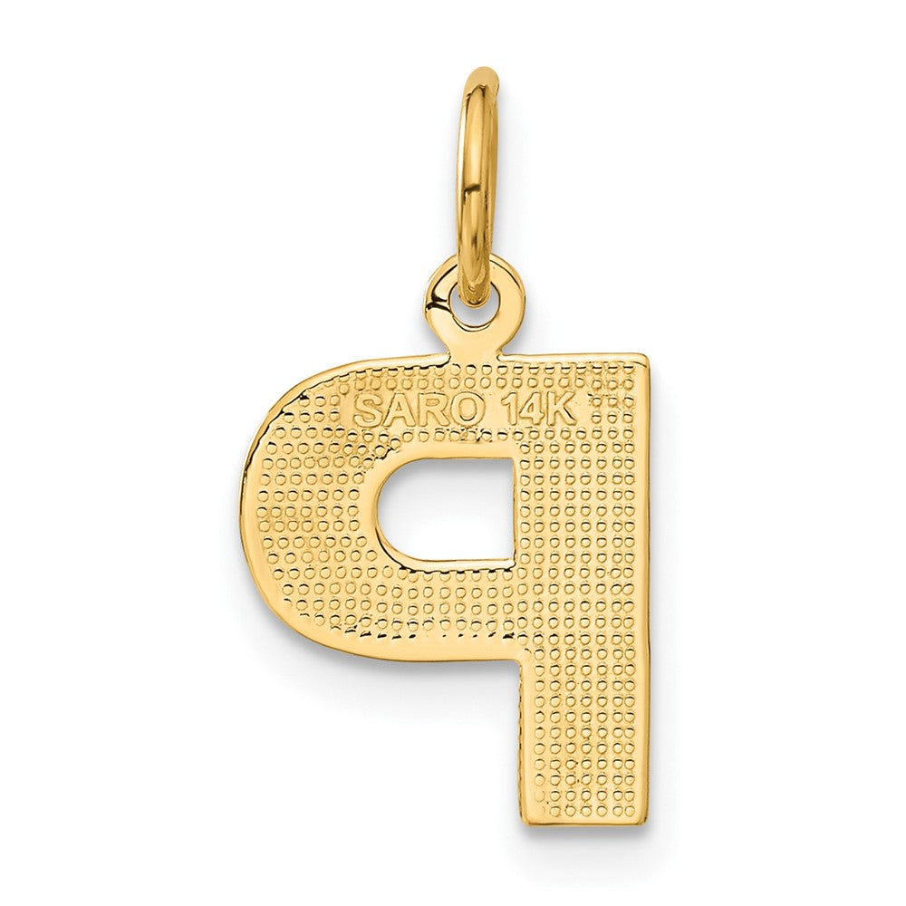 14KY Satin Diamond-cut Letter P Initial Charm