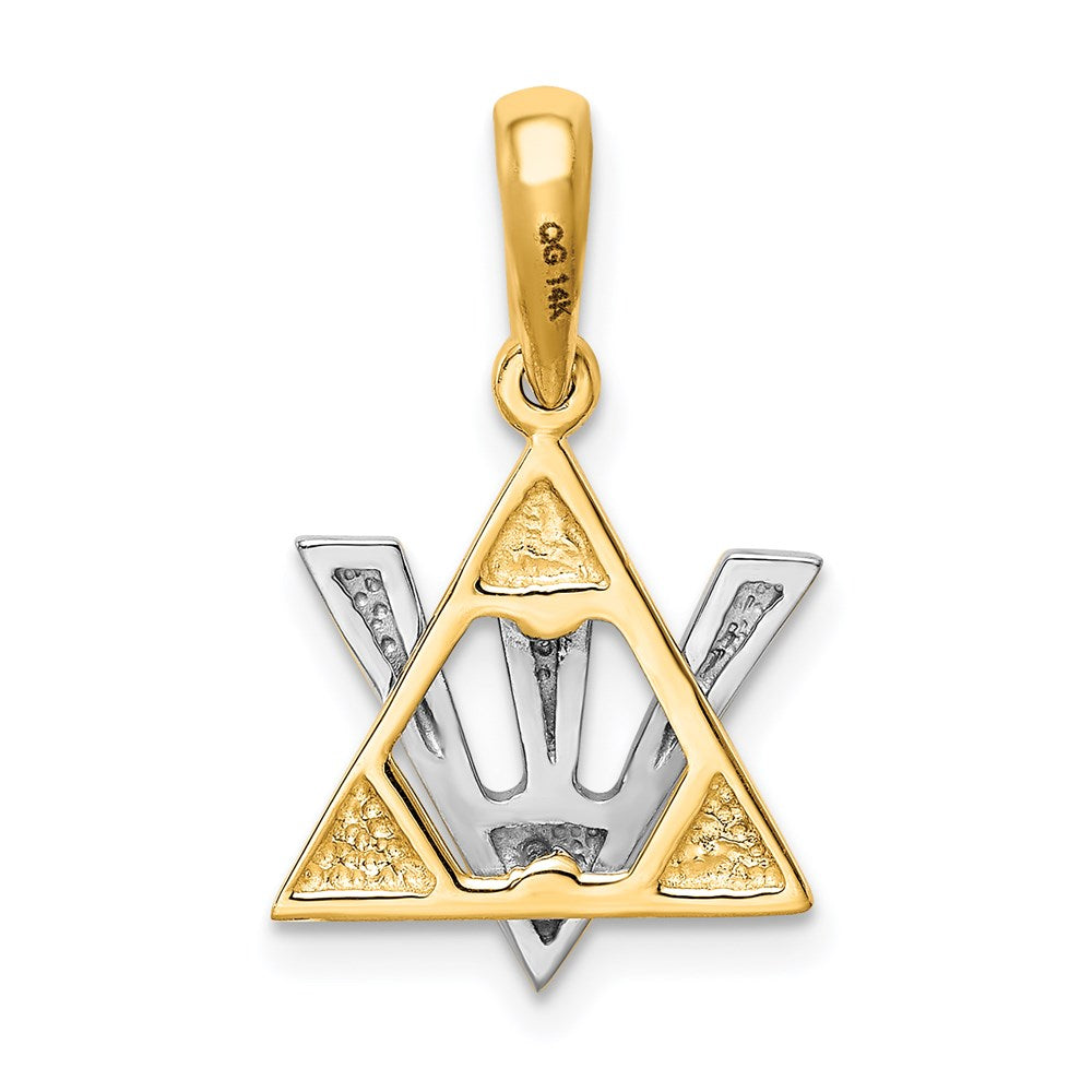 14K Two-tone Star of David w/Shin Charm