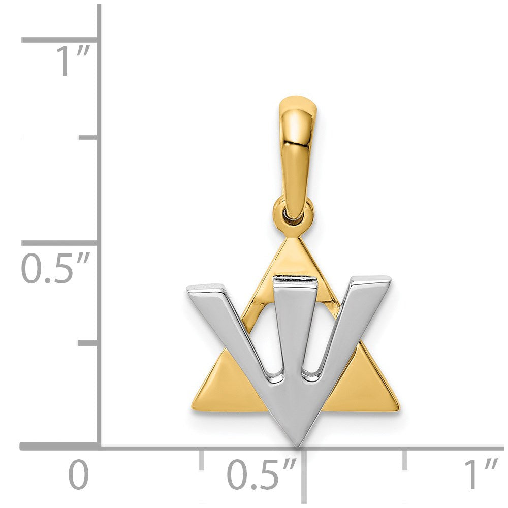 14K Two-tone Star of David w/Shin Charm