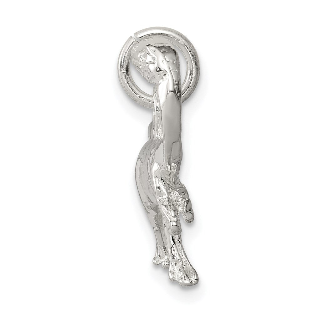 Sterling Silver Raptor Charm