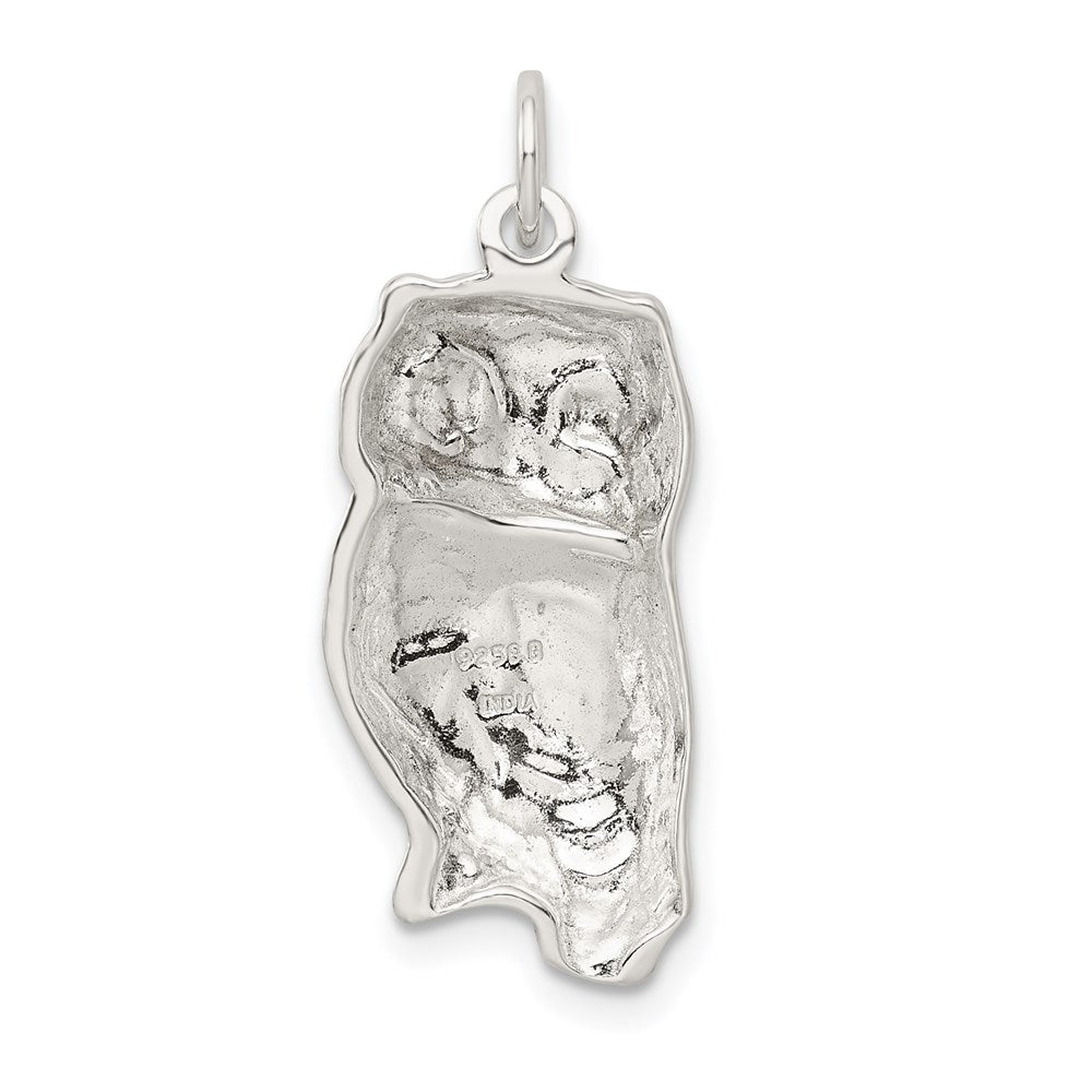 Sterling Silver Owl Charm