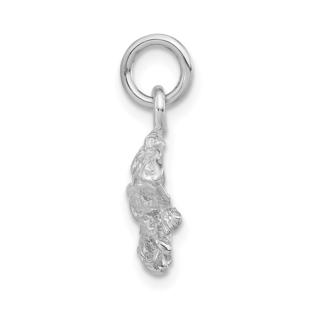 Sterling Silver Polished & Textured Iguana Pendant