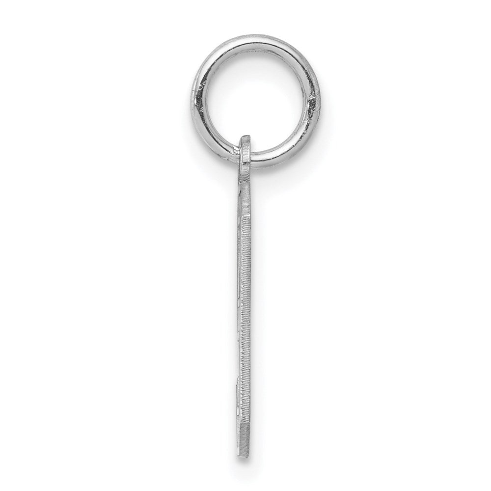 Sterling Silver/Rhodium-plated Satin Number 9 Charm