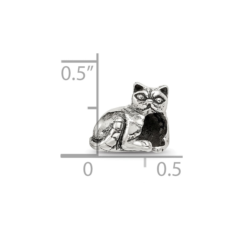 Sterling Silver Reflections Exotic Shorthair Cat Bead