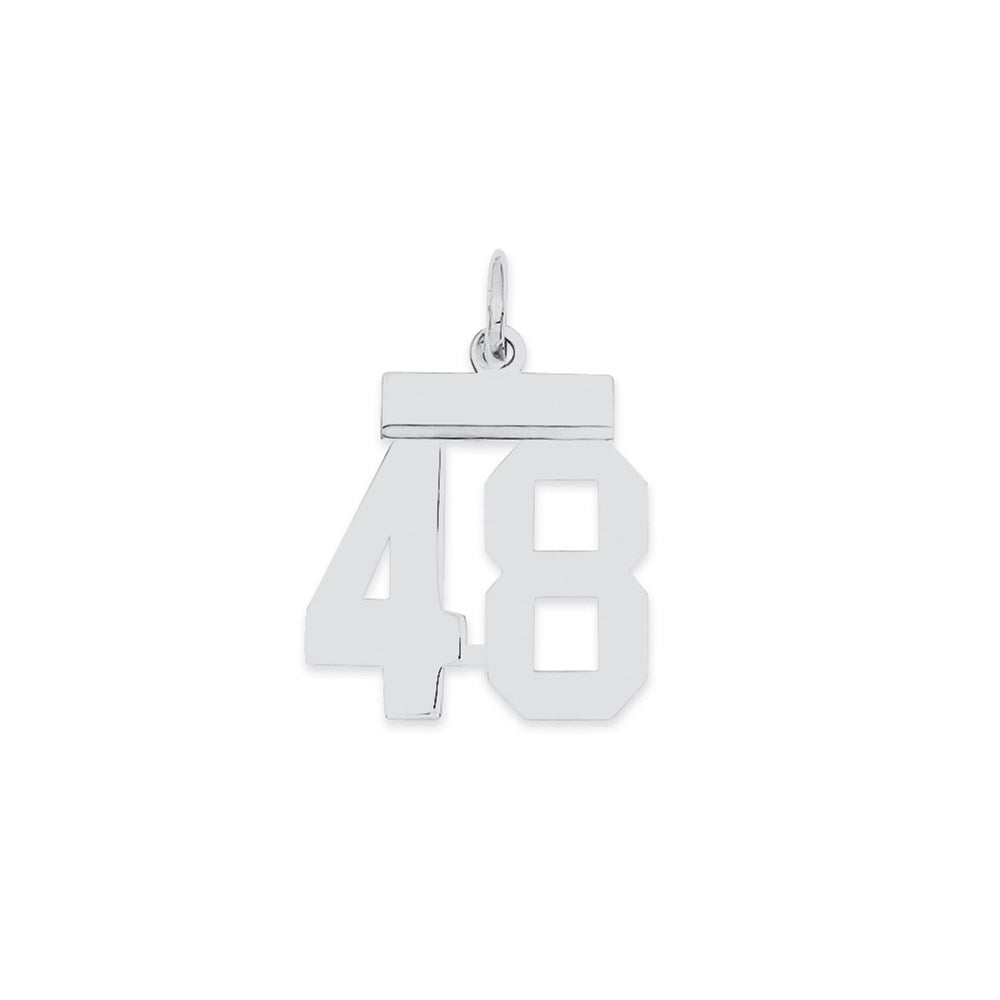 Sterling Silver/Rhodium-plated Polished Number 48 Charm