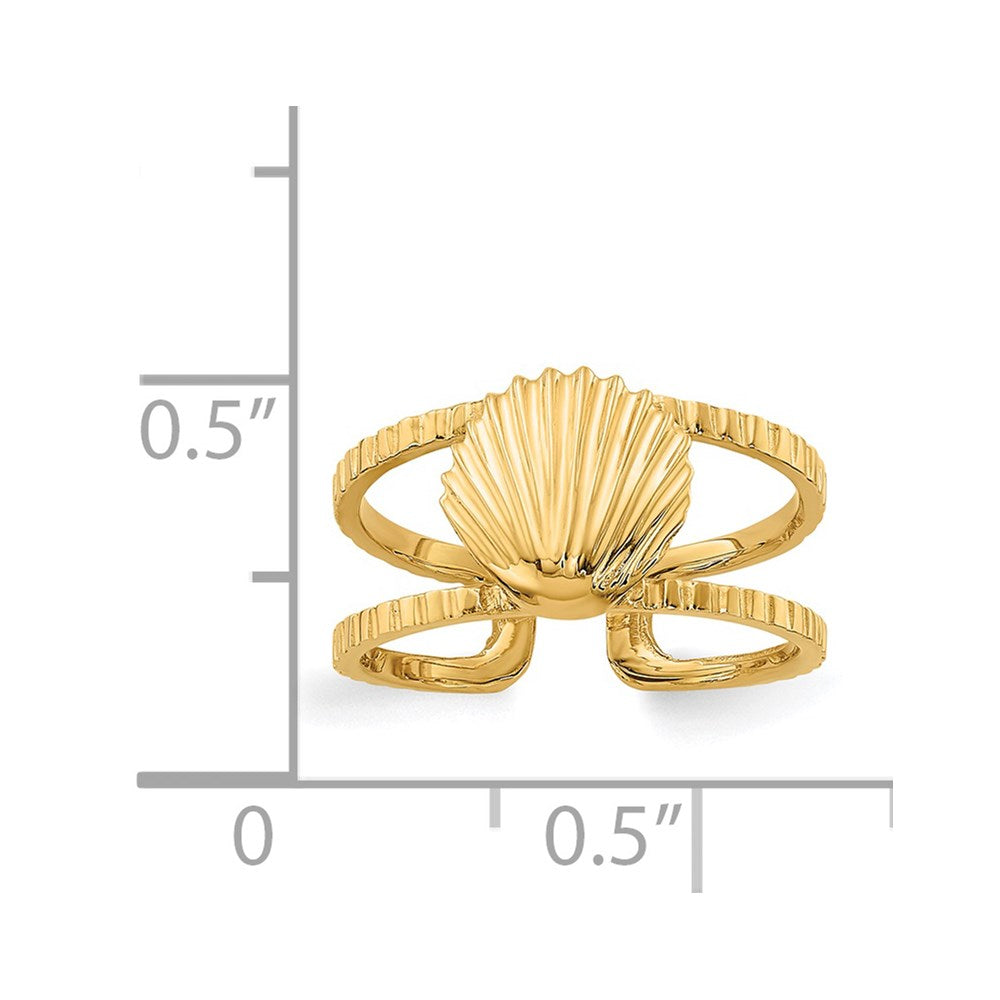 14k Sea Shell Toe Ring