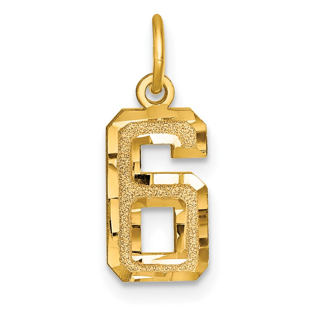 14k Small Brushed Diamond-cut Number 6 Charm