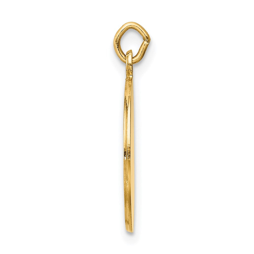 14k Saint Roch Medal Charm