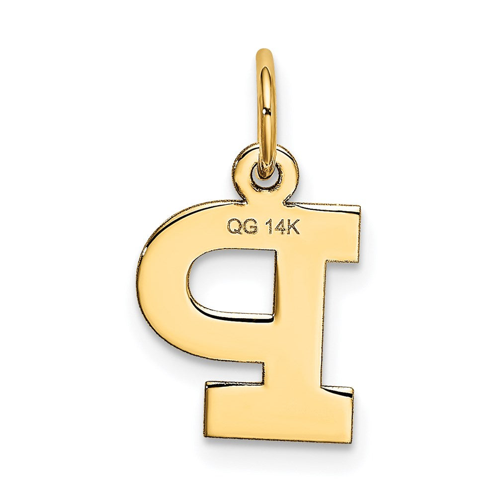 14k Small Block Letter P Initial Charm