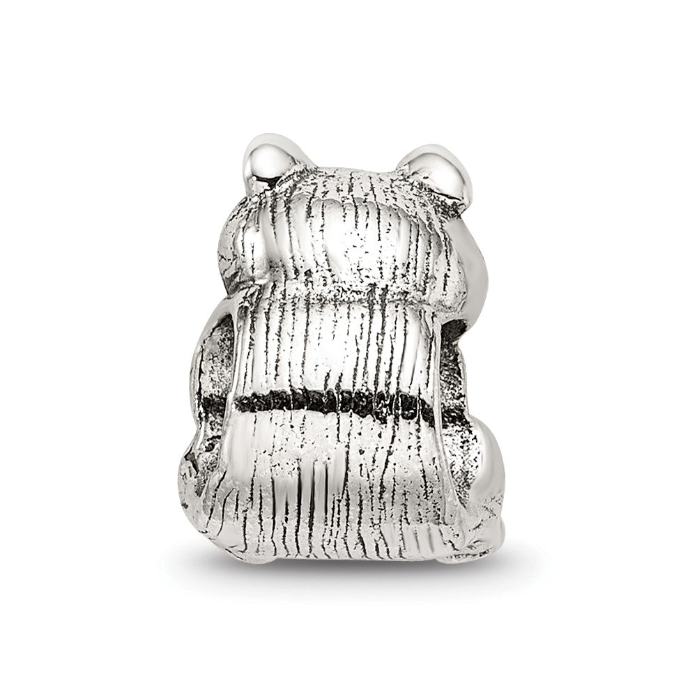 Sterling Silver Reflections Racoon Bead